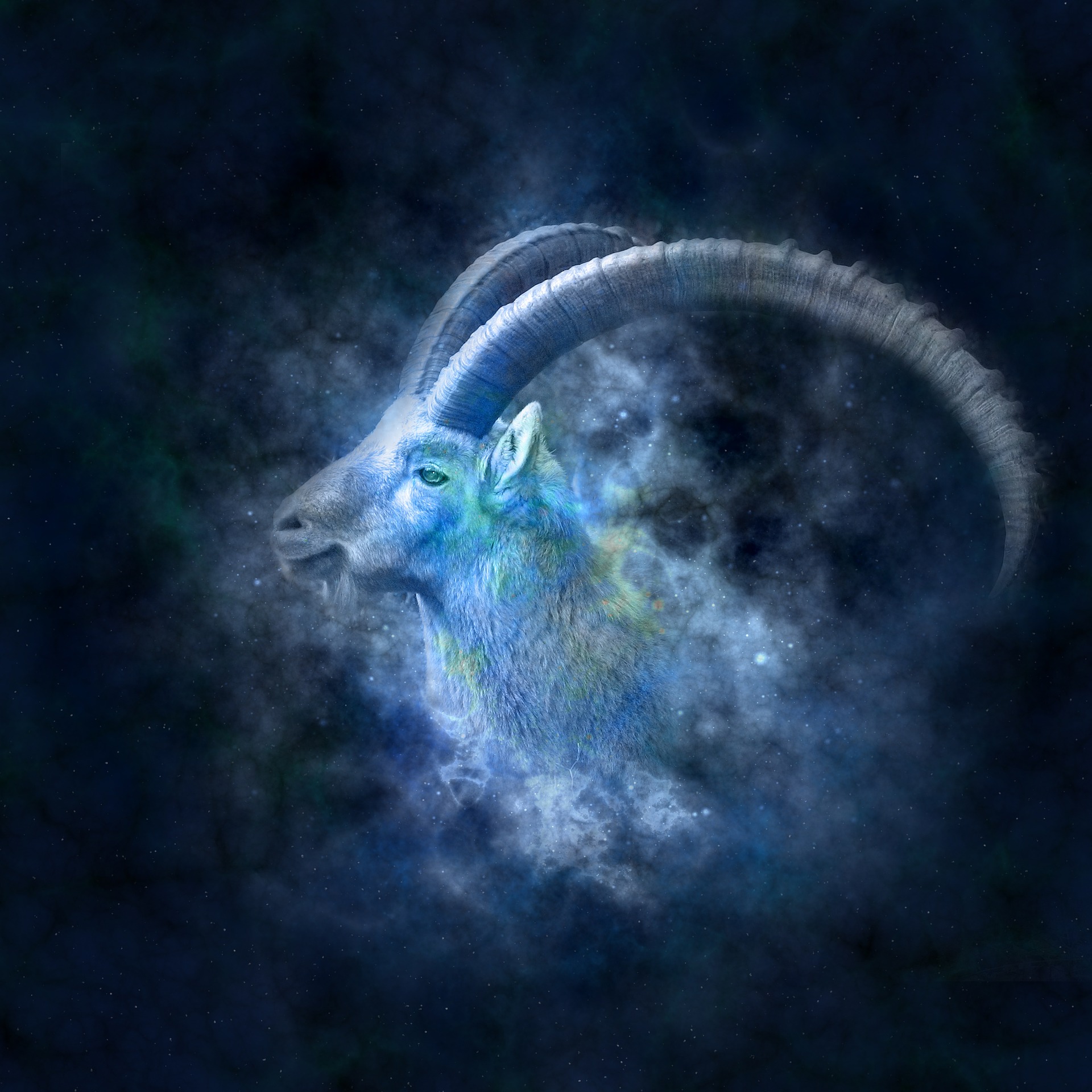 Horoscope 2024 Capricorne Youtube Ella Nikkie